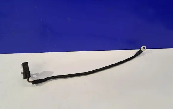 Mercedes-Benz C W204 Negative earth cable (battery) A1665420418 6300862