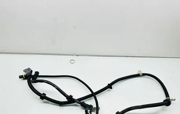 Other wiring loom