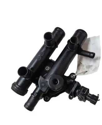 Thermostat/thermostat housing