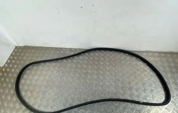 Nissan Ariya Front door rubber seal