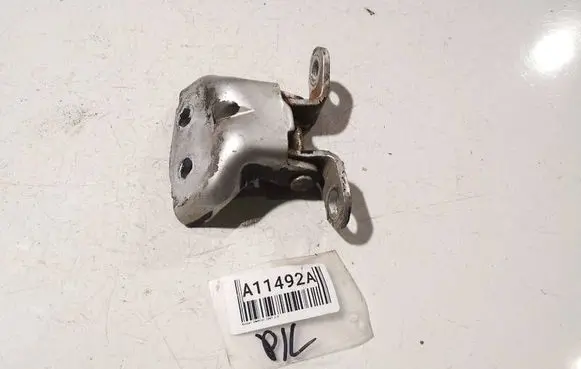 Nissan Qashqai Rear door lower hinge