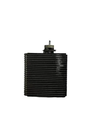 Hyundai Terracan Heater blower radiator