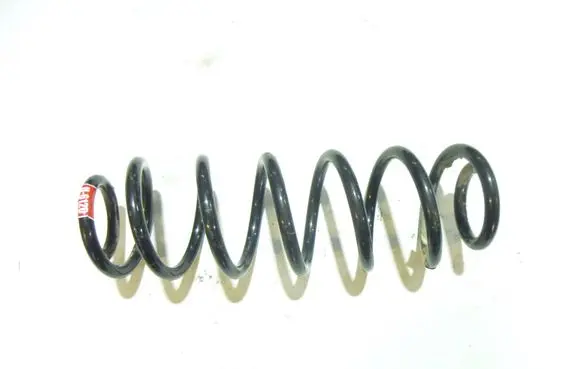 Rear coil spring