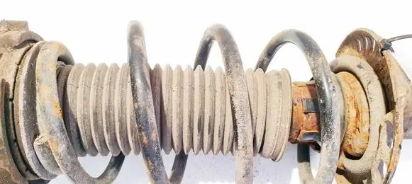 Front coil spring