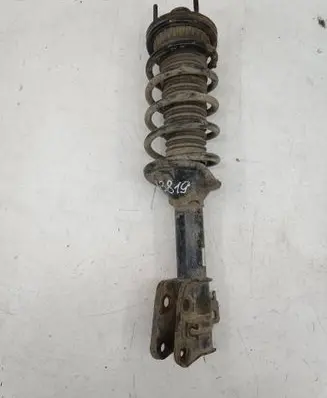 Land Rover Freelander Rear shock absorber with coil spring 22190518