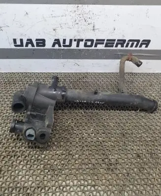 Thermostat/thermostat housing