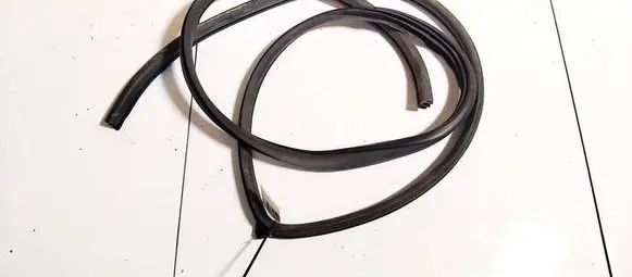 Chevrolet Captiva Rubber seal front coupe door 