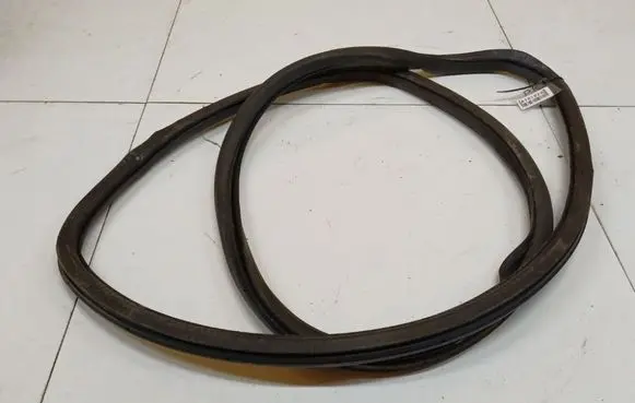 Volkswagen PASSAT B6 Rubber seal front coupe door 