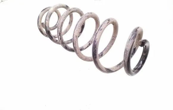 Rear coil spring