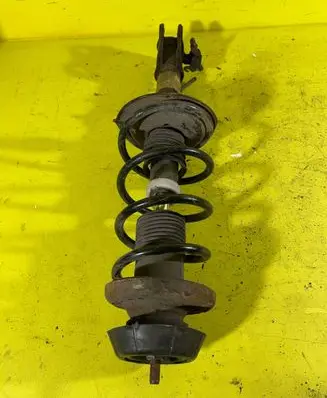 Opel Agila B Rear shock absorber with coil spring RZ1R11P8