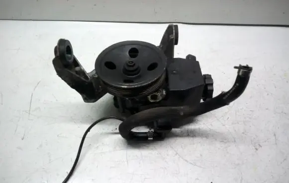 Mercedes-Benz C W203 Power steering pump 541019310