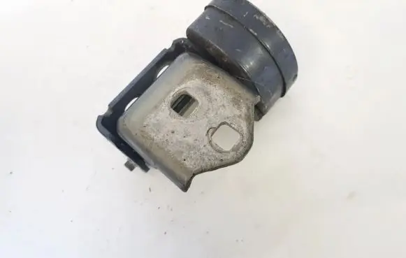 Renault Scenic II - Grand scenic II Rear door lower hinge 21d05 15305