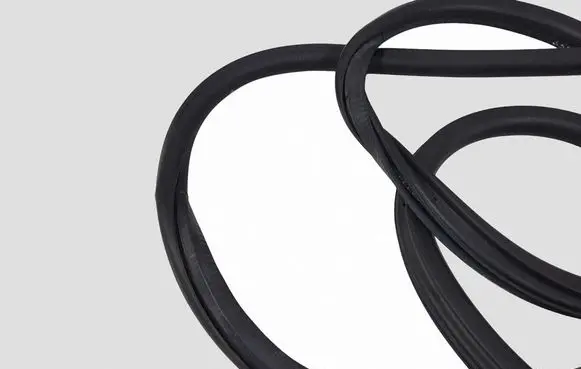 Peugeot 308 Front door rubber seal 9677519680