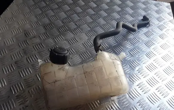 Renault Scenic II - Grand scenic II Coolant expansion tank/reservoir cap 8200262036