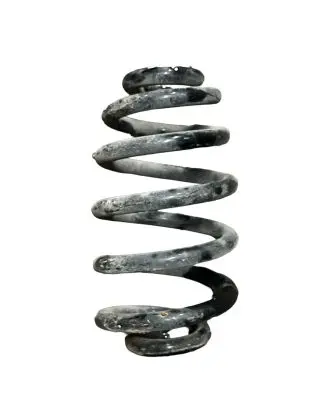 Audi A4 S4 B6 8E 8H Rear coil spring