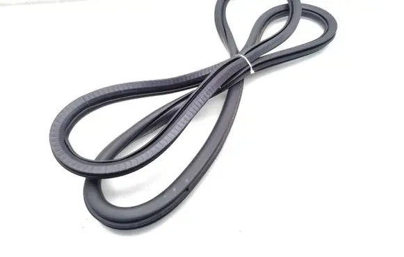 DS Automobiles 3 Crossback Front door rubber seal 9820823880