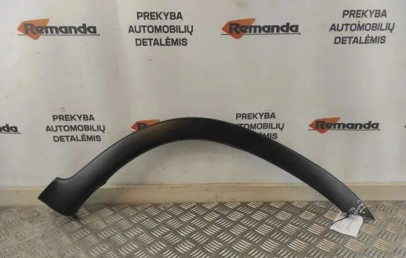 Fender trim (molding)