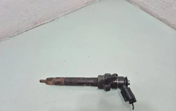 BMW X1 E84 Fuel injector 7798446 779844604