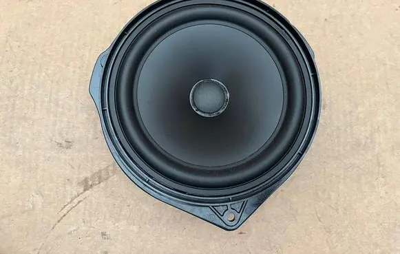 Mercedes-Benz GLS X166 Rear door speaker A1668202102