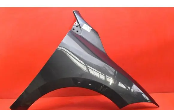 Renault Megane III Fender 
