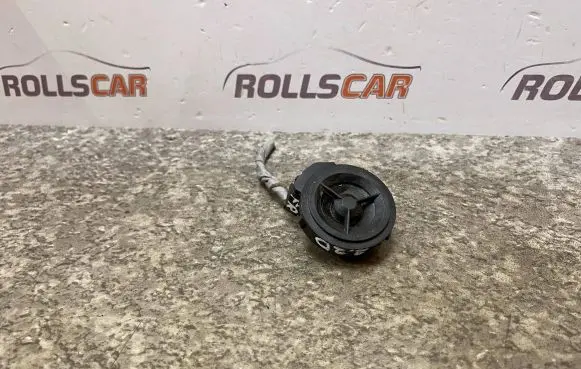 Front door high frequency speaker