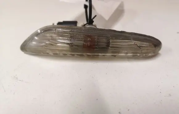 Front fender indicator light
