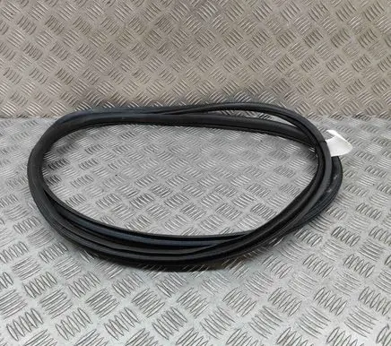 Honda Civic X Rubber seal rear door 72810TGGT01