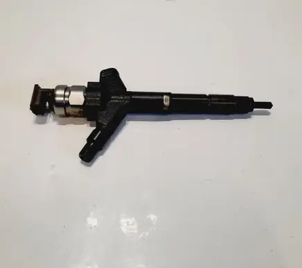 Nissan Navara D40 Fuel injector 166005X00A