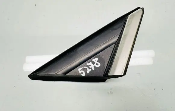 Fender trim (molding)