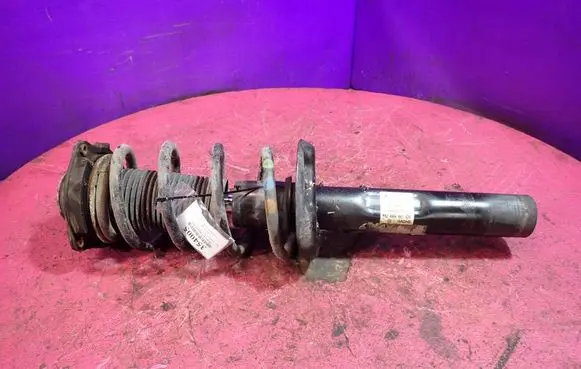 Volkswagen PASSAT CC Front shock absorber with coil spring 3C0413031AH