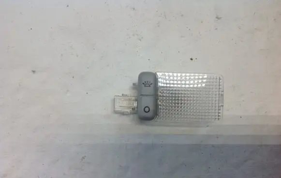 Ford Focus C-MAX Rear seat light 5W3CP