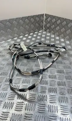 Chrysler Grand Voyager V Rear door wiring loom P68066265AA