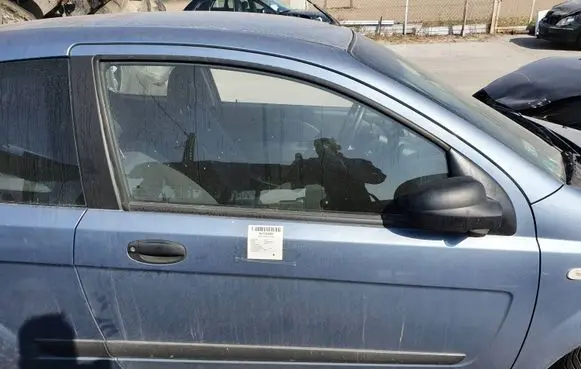 Chevrolet Kalos Front door