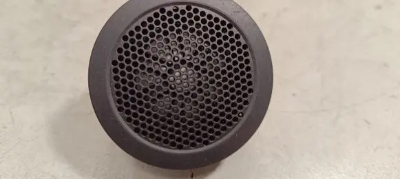 Panel speaker