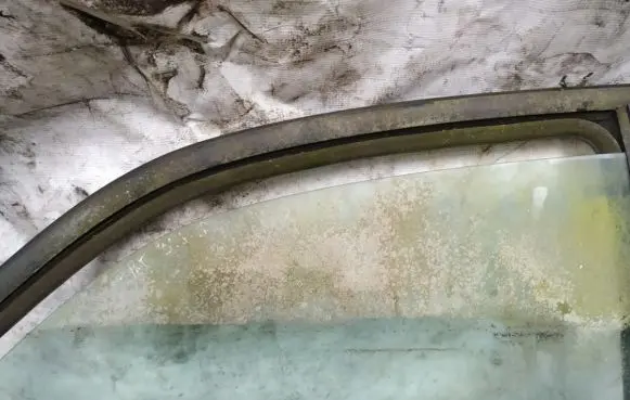 Rear door window glass