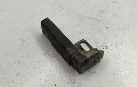 Ford Transit - Tourneo Connect Rear door lower hinge