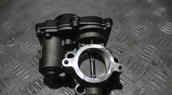Dacia Sandero Throttle body valve 161204132