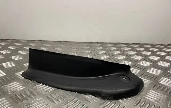 Rear/tail light trim molding