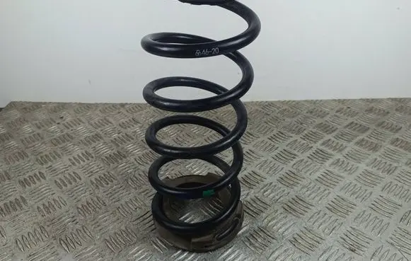 Rear coil spring