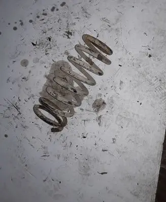 Hyundai Trajet Rear coil spring NOCODE