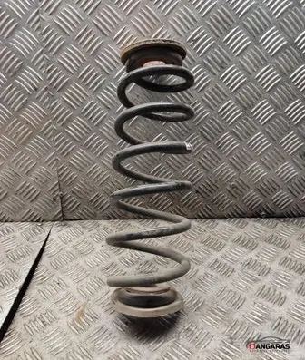 Rear coil spring