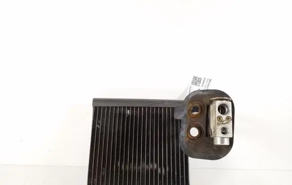 Mercedes-Benz A W169 Air conditioning (A/C) radiator (interior) A1698300158