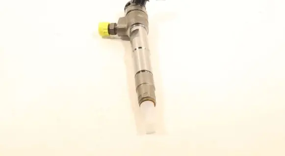 Renault Kangoo II Fuel injector 0445110800