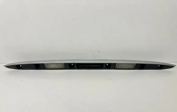 BMW X5 E53 Trunk door license plate light bar 
