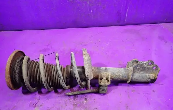 Opel Signum Front shock absorber with coil spring 
