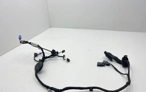 Seat Leon (5F) Front door wiring loom 5F4971030CP 370GH01 TAB012569CN