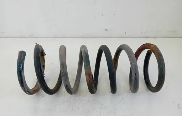 Ford S-MAX Rear coil spring