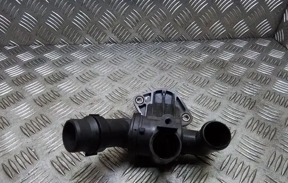 Thermostat/thermostat housing