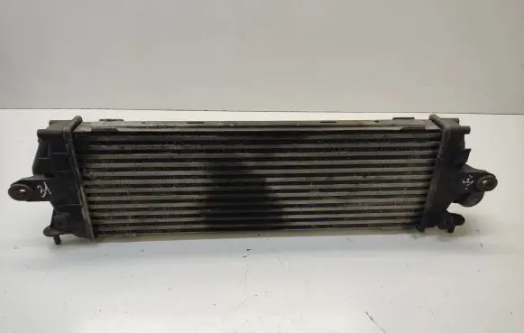Renault Trafic II (X83) Intercooler radiator