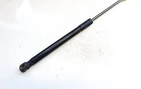 Tailgate/trunk strut/damper